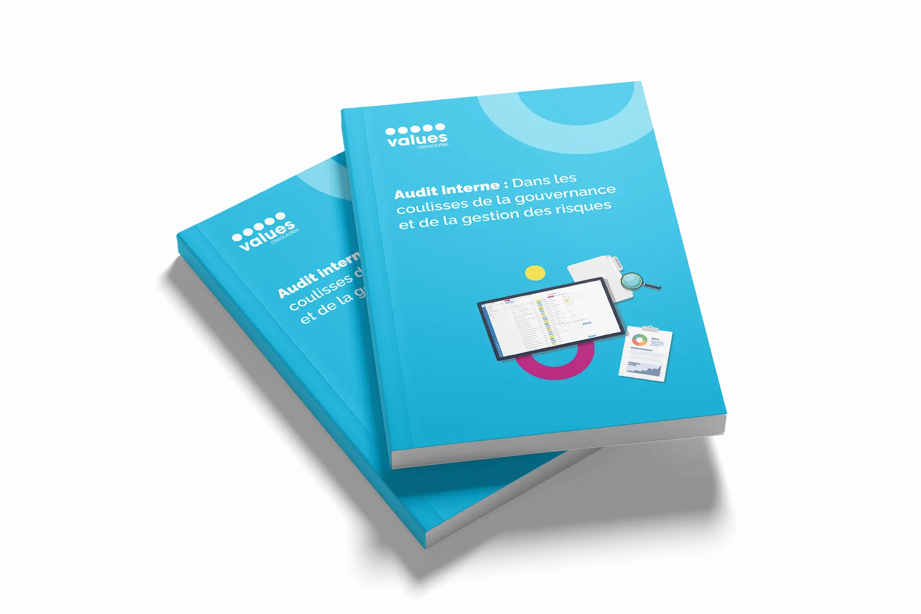 White Paper - Internal Audit - Governance and Risk Management