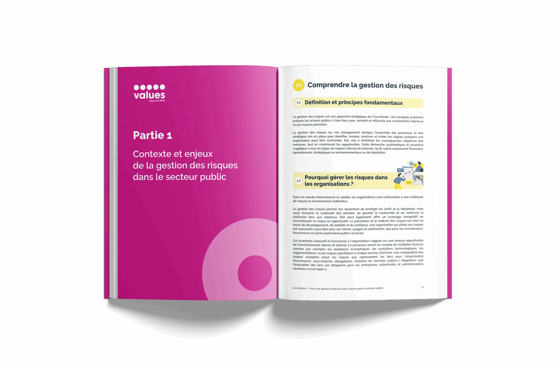 Livre blanc sur la gestion maîtrisée des risques dans le secteur public – Values Associates
